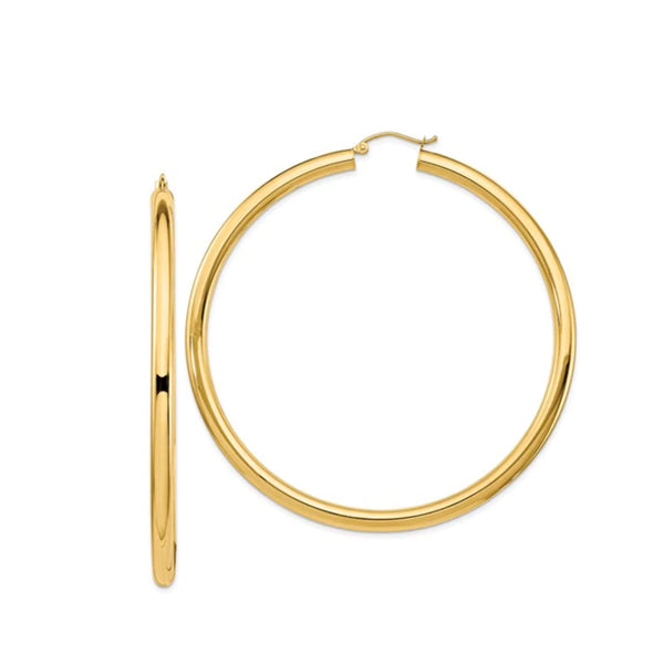 Champion Large Hoop Earrings in 14kt Gold Over Sterling Silver